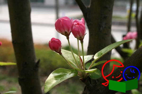 2013032932116985.jpg
