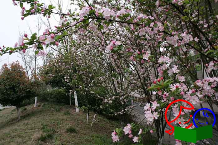 2013032932088391.jpg