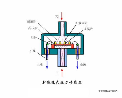 6.gif