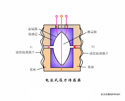 21.gif