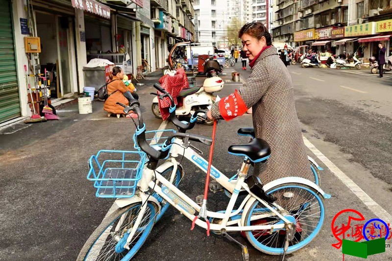 W020190308440115257286.jpg