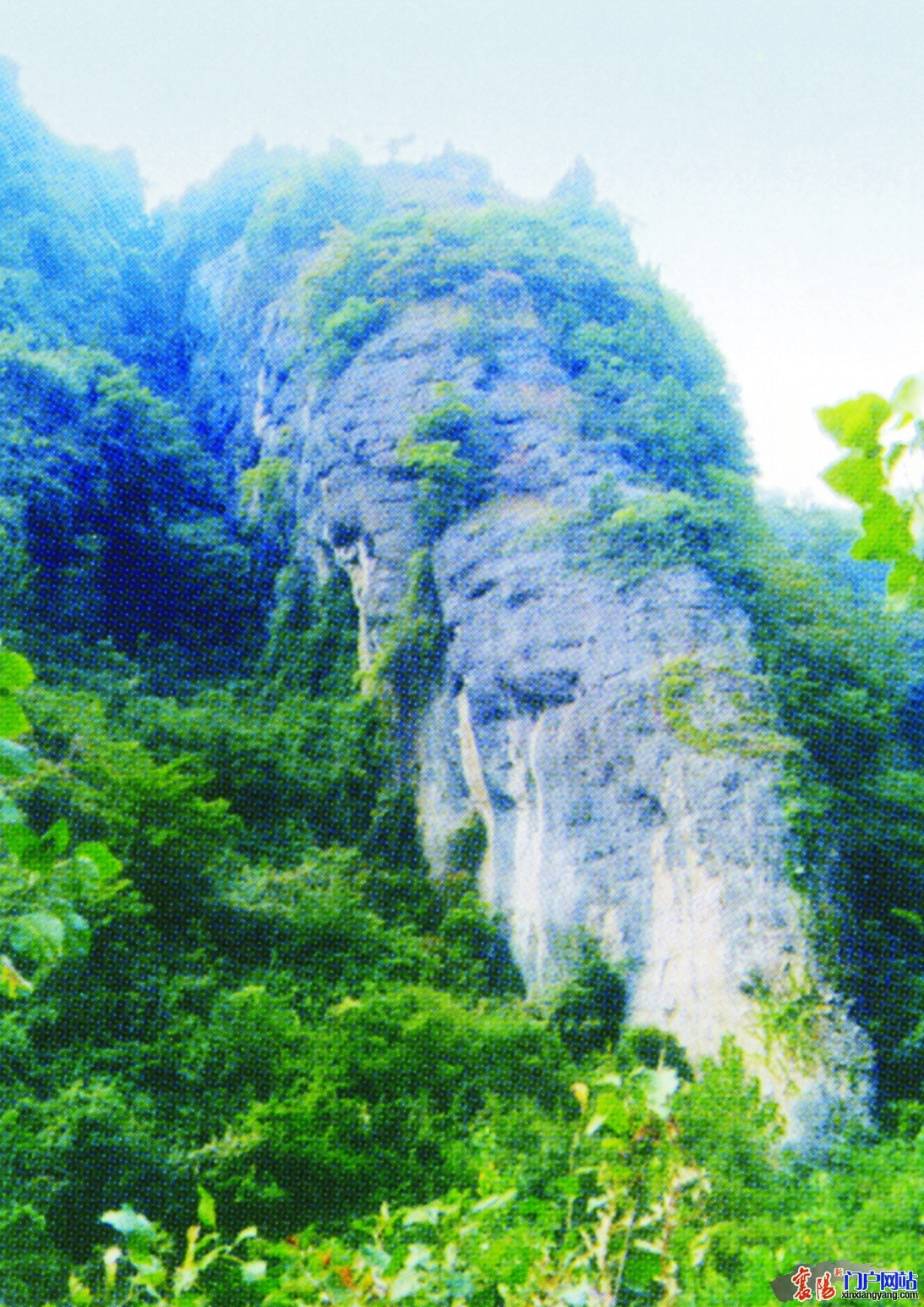 20100618144916158.jpg