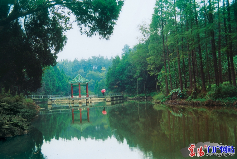 20100618144827657.jpg