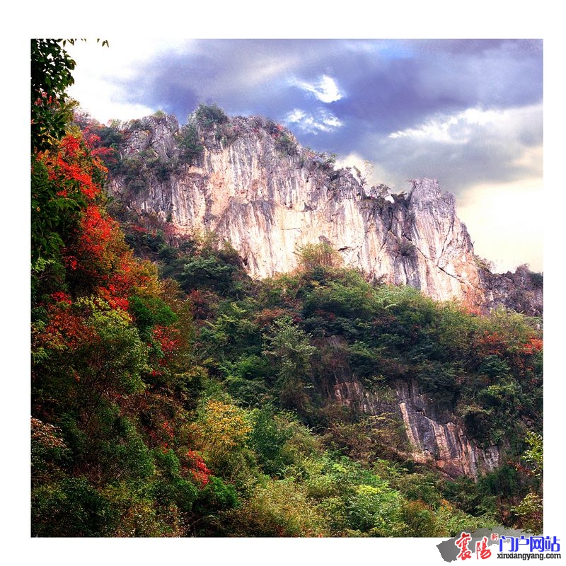 20100911150008426.jpg