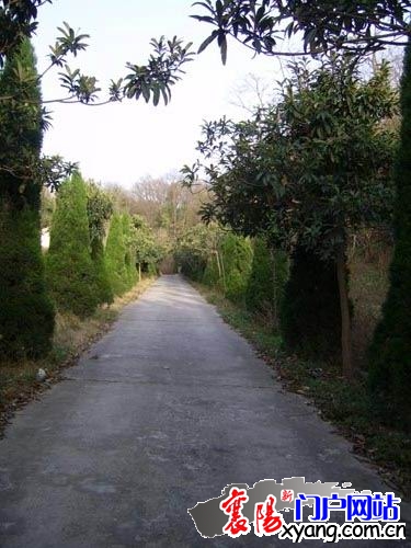 20100618105134267.jpg