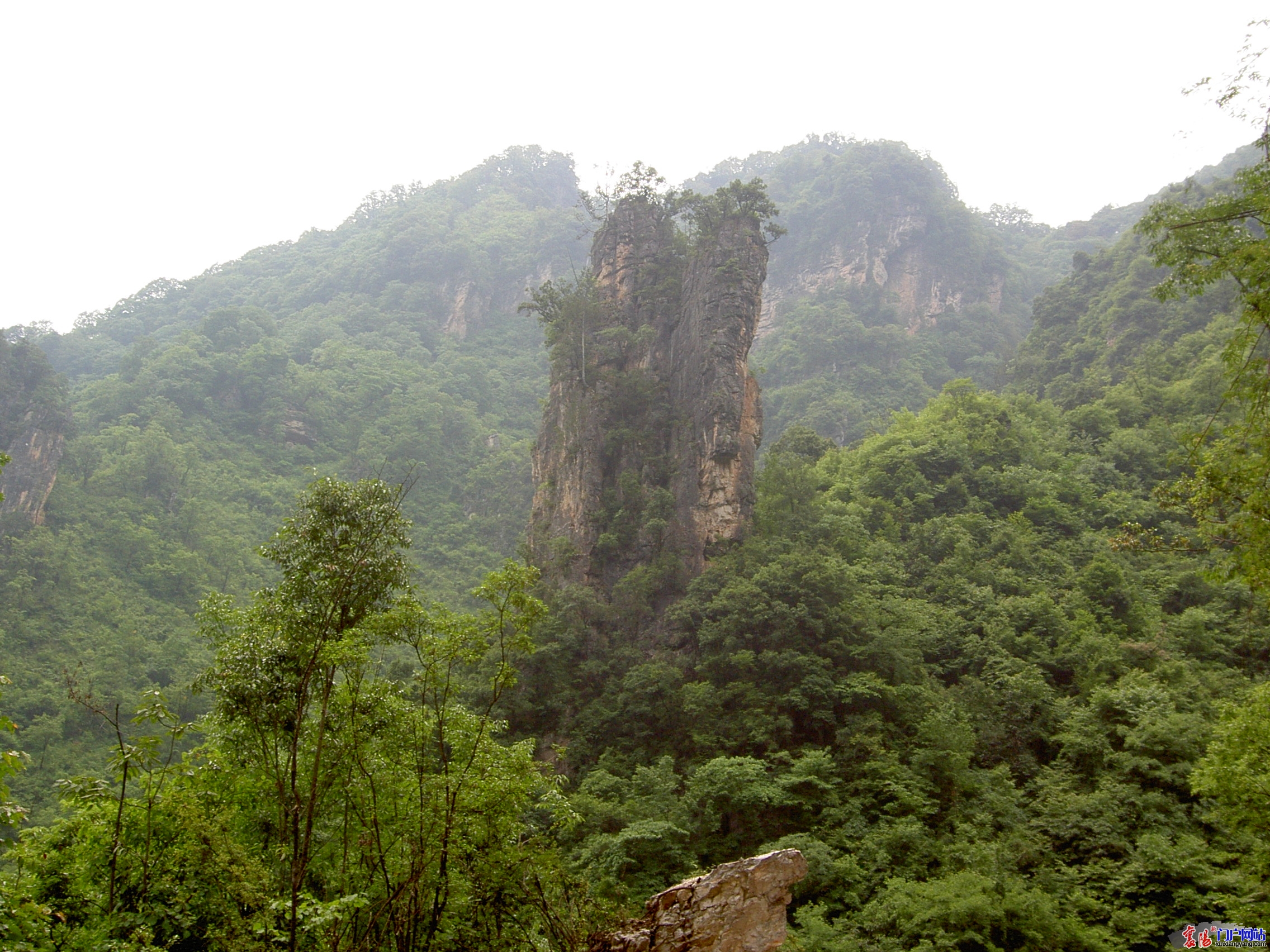 20100618111019553.jpg