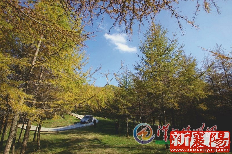 WB020104_4.jpg