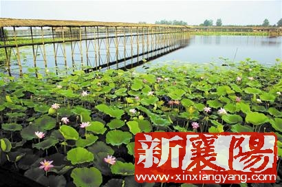 xin_1930908301713921183627.jpg