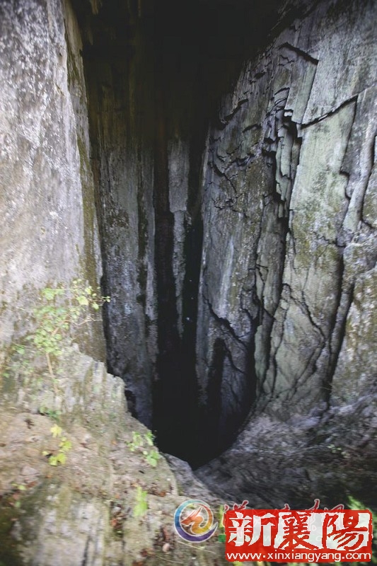 WB020104_5.jpg