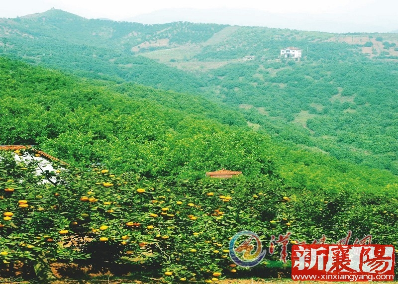 WB051022_13.jpg