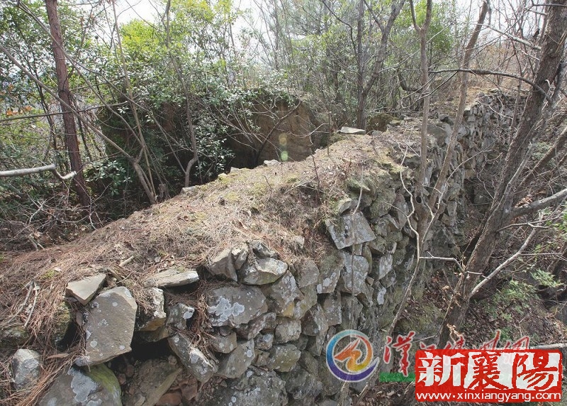 WB041904_13.jpg