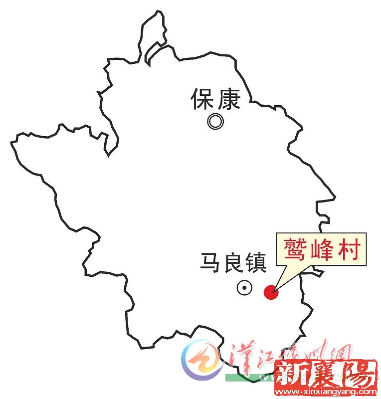 WB042604_11.jpg