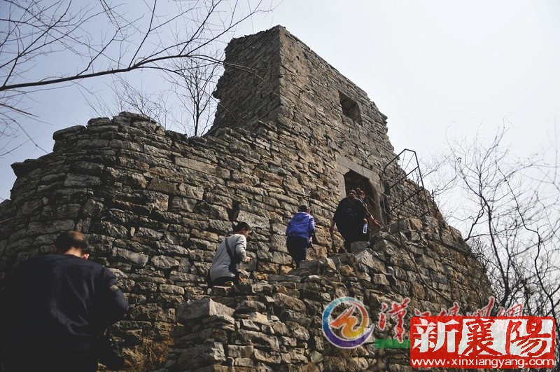 WB040504_11.jpg