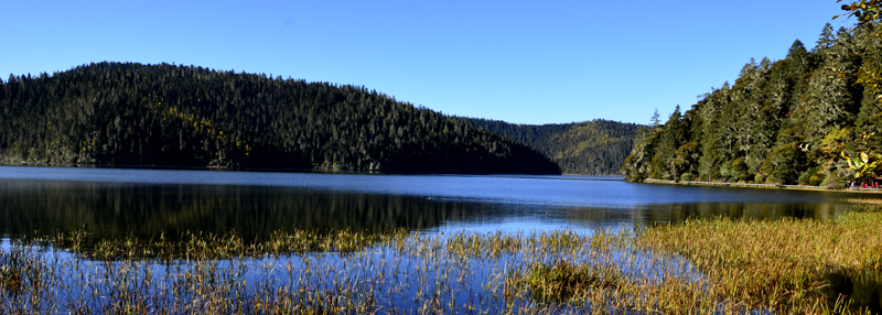 _DSC0488.JPG