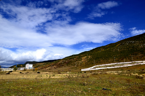 _DSC0128.JPG