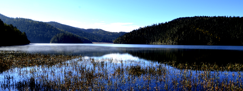 _DSC0487.JPG