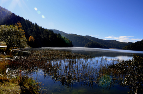 _DSC0490.JPG