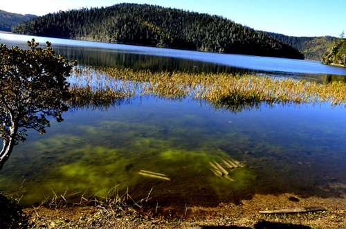 _DSC0489.JPG