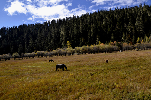 _DSC0593.JPG
