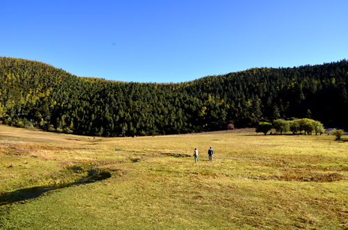 _DSC0502.JPG