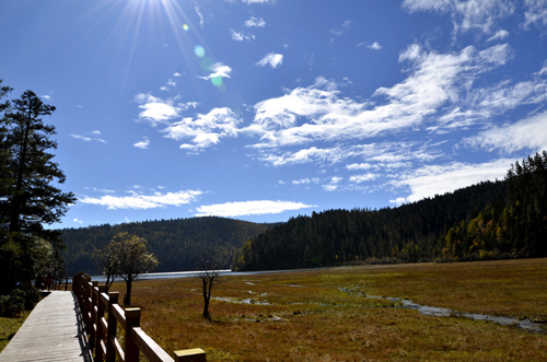 _DSC0582.JPG