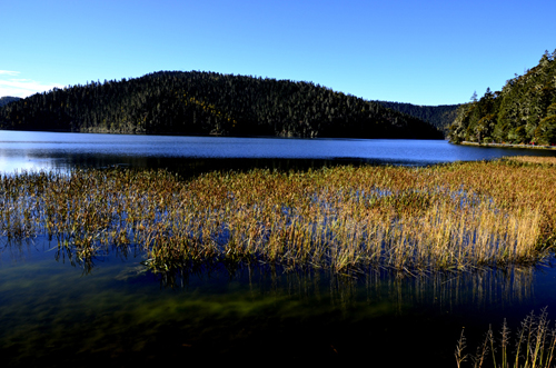 _DSC0491.JPG