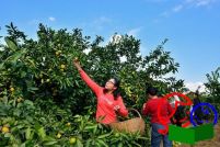 乐游南漳春秋寨