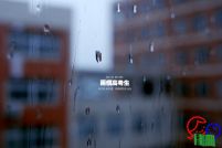 不同的成长环境，让两个高三学生在面对高考时做出了不同的选择，踏上不一样的人生路径