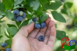 襄阳秋日乡村游