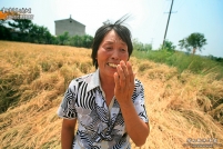 实拍·【襄州区峪山镇万垱村旱情在持续】