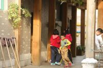 浙江杭州一小学740名师生共用一个厕所