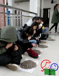 学生上课嗑瓜子 老师买百斤让嗑个够